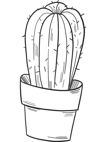 Potted Cactus Coloring Page